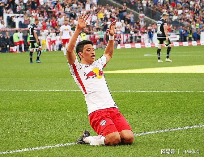 关于奥地利队主场大捷,引得球迷欢呼不已的信息 关于奥地利队主场大捷,引得球迷欢呼不已的信息