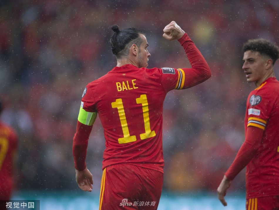 威尔士队逆转乌克兰队，生存希望(威尔士队员名单)